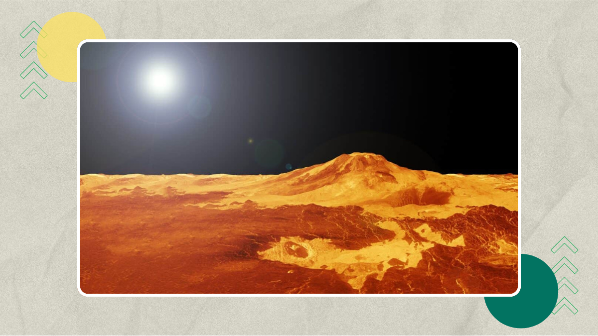 Giant Flower Reveals Moon-Like Tunnels Beneath Soil